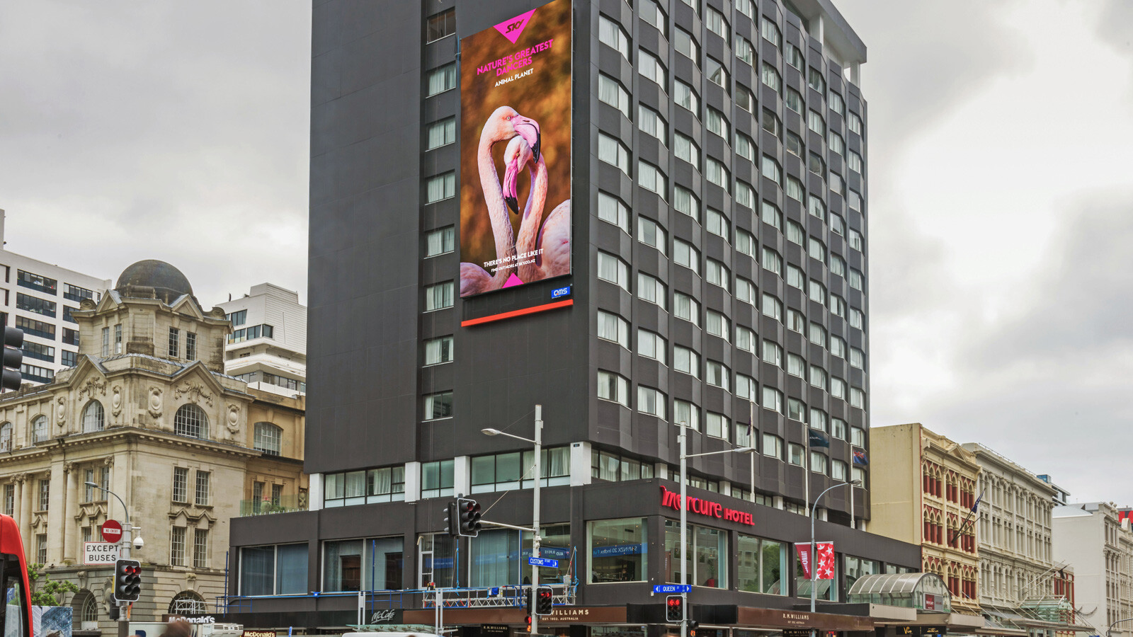 QMS Switches On the heart of Auckland’s CBD