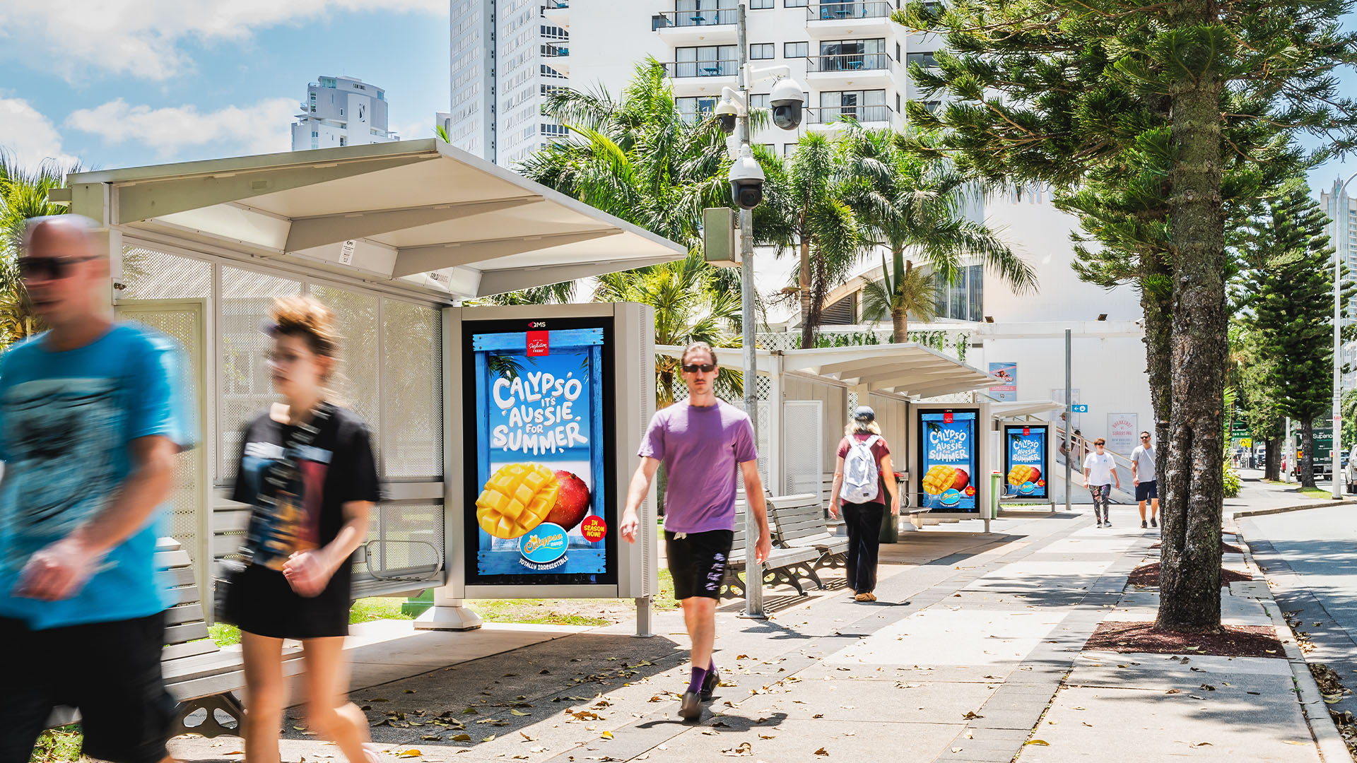 Gold Coast_0001_GCSF_D928_D508_D507_Calypso Mangoes